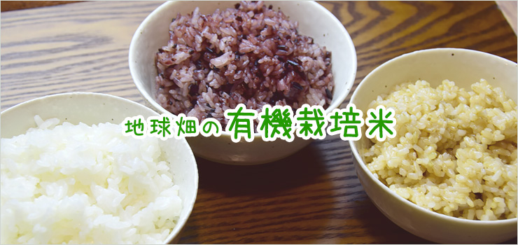 米・雑穀米・豆